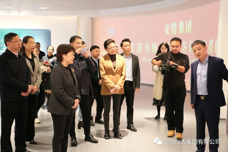 安特儀表集團有限公司