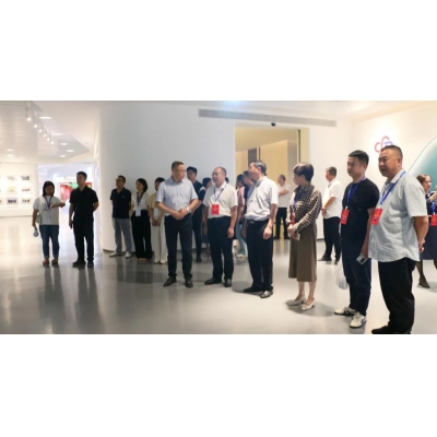 麗水市第五屆人大代表景寧中心組調(diào)研安特集團