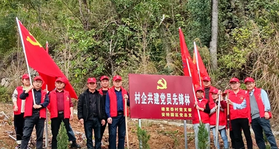 村企共建，共植先鋒林