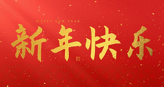 安特儀表集團有限公司祝大家2025新年快樂！
